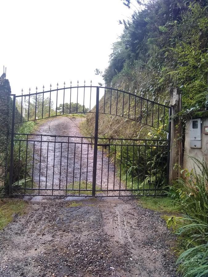 Casa Da Marta No Capivari Casa de férias
